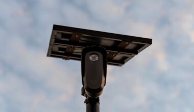 Police chief warns of slower investigations after halting Flock technology