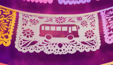 Think pink as Trinity Metro’s new color-coded bus line prepares to launch