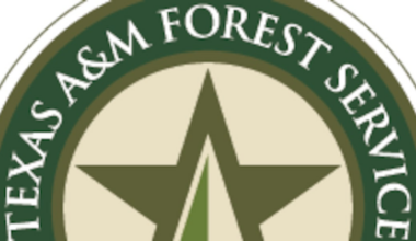 Texas A&M Forest Service awards $655,000 for Panhandle volunteer fire departments