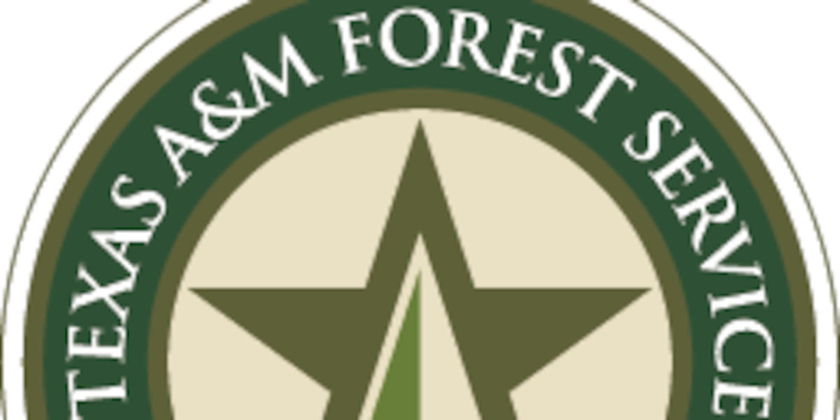 Texas A&M Forest Service awards $655,000 for Panhandle volunteer fire departments