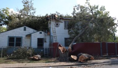 San Antonians continue to recover from weekend storm