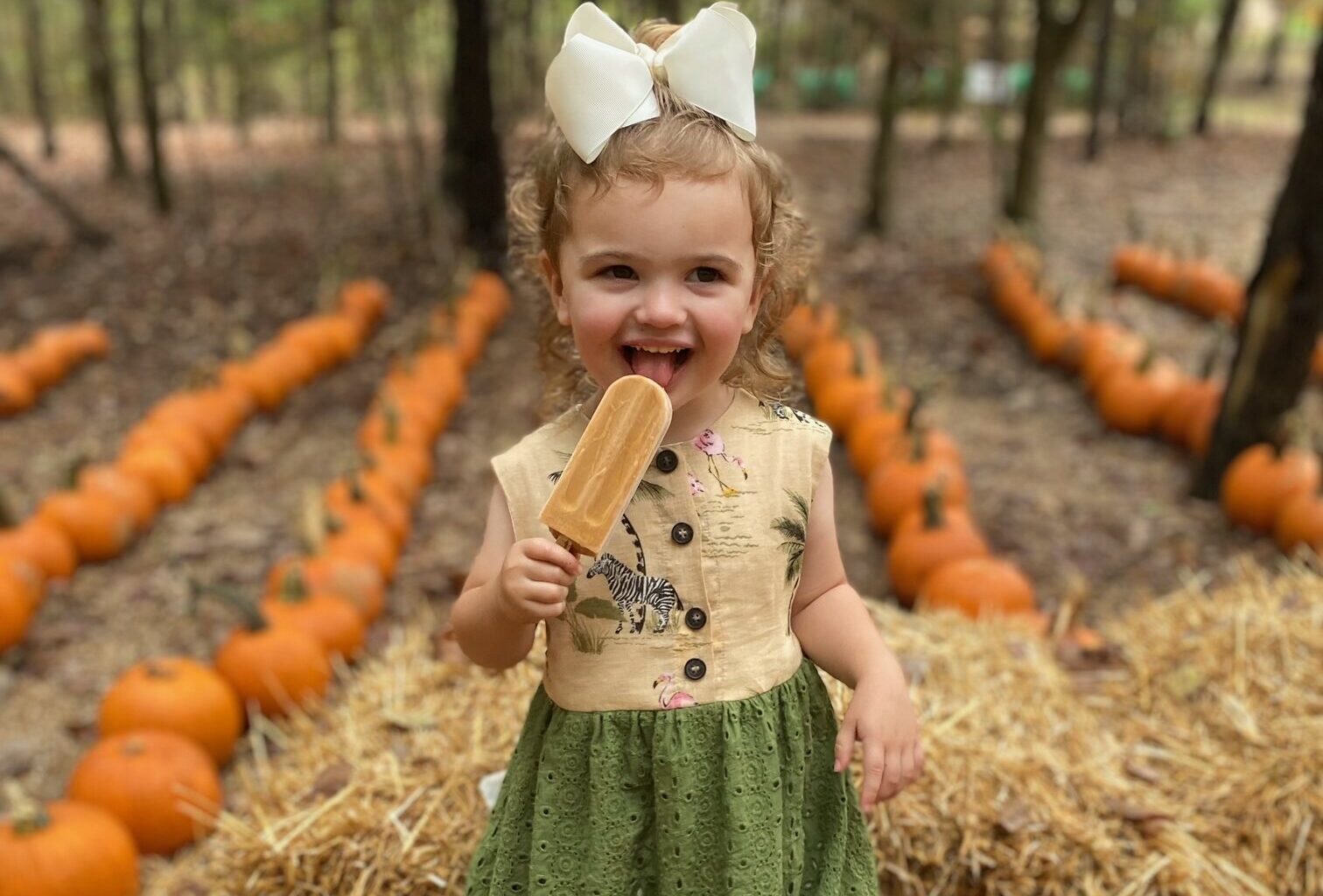 Pumpkin Patch, Blase Family Farm, photo courtesy of Jill Blase