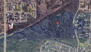 Rental and for-sale properties planned for nearly 50 acres of wooded west Oak Cliff site