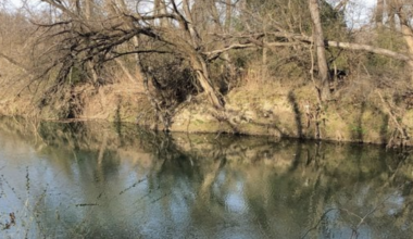 EPA accepts a 10-year plan to improve Rowlett Creek water quality