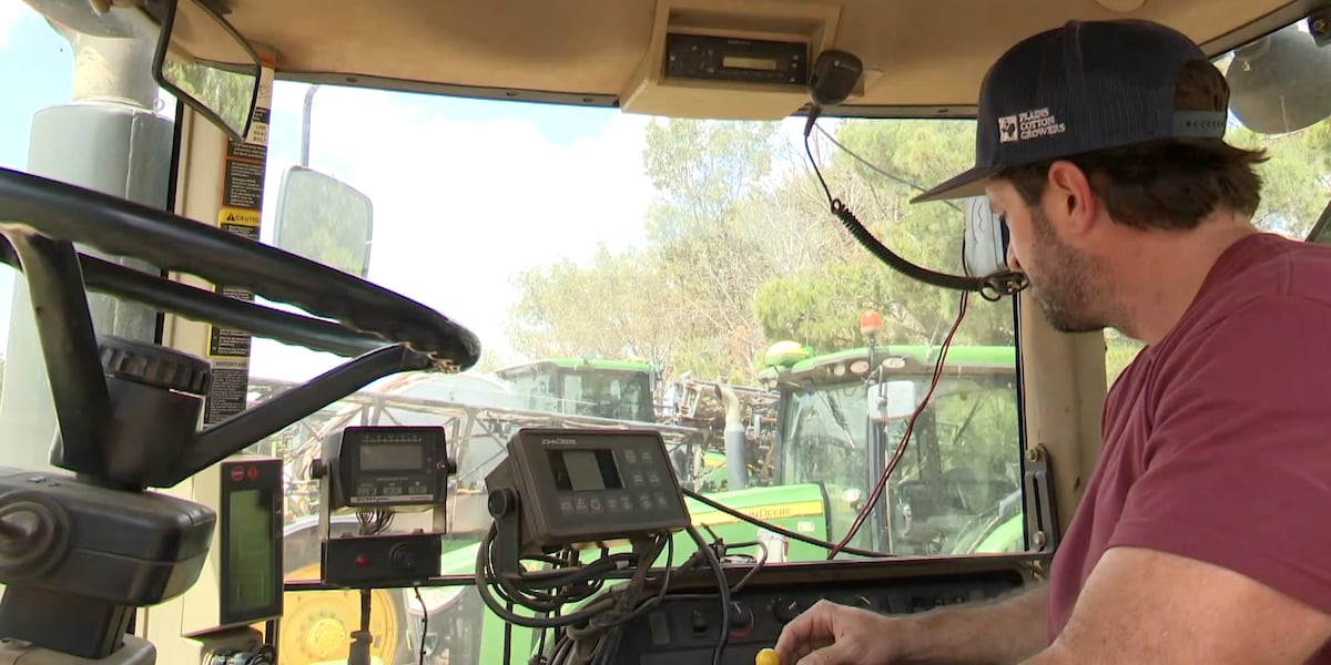 South Lubbock cotton farmers face dry conditions ahead of harvest