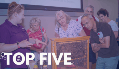 Top 5 things to do with your library this October