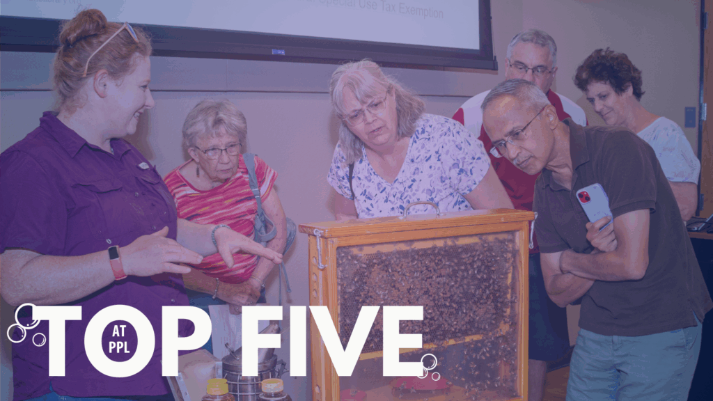 Top 5 things to do with your library this October