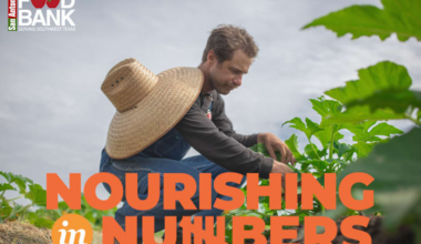 Nourishing in Numbers: How our community can help fight hunger