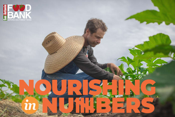 Nourishing in Numbers: How our community can help fight hunger