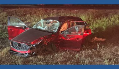 9-year-old girl ejected after car hits cow on US 77 north of Odem