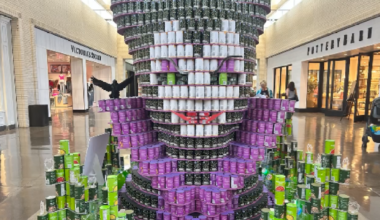 Canstruction Dallas returns to NorthPark Center to fight hunger – NBC 5 Dallas-Fort Worth