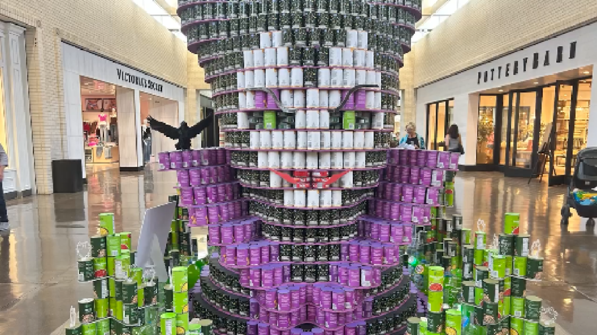 Canstruction Dallas returns to NorthPark Center to fight hunger – NBC 5 Dallas-Fort Worth