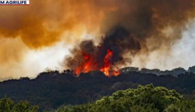 Firefighters continue to battle wildfires across Texas