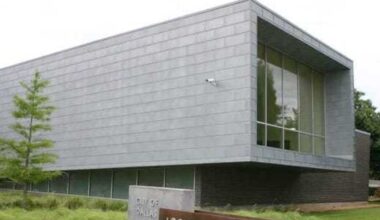 Texas public libraries generate billions for state economy