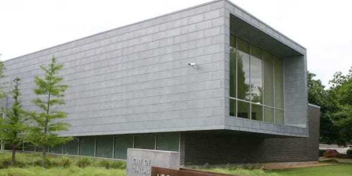 Texas public libraries generate billions for state economy