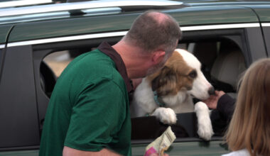 Dog-loving principal turns a Benbrook elementary school's drop-off line into puppy paradise