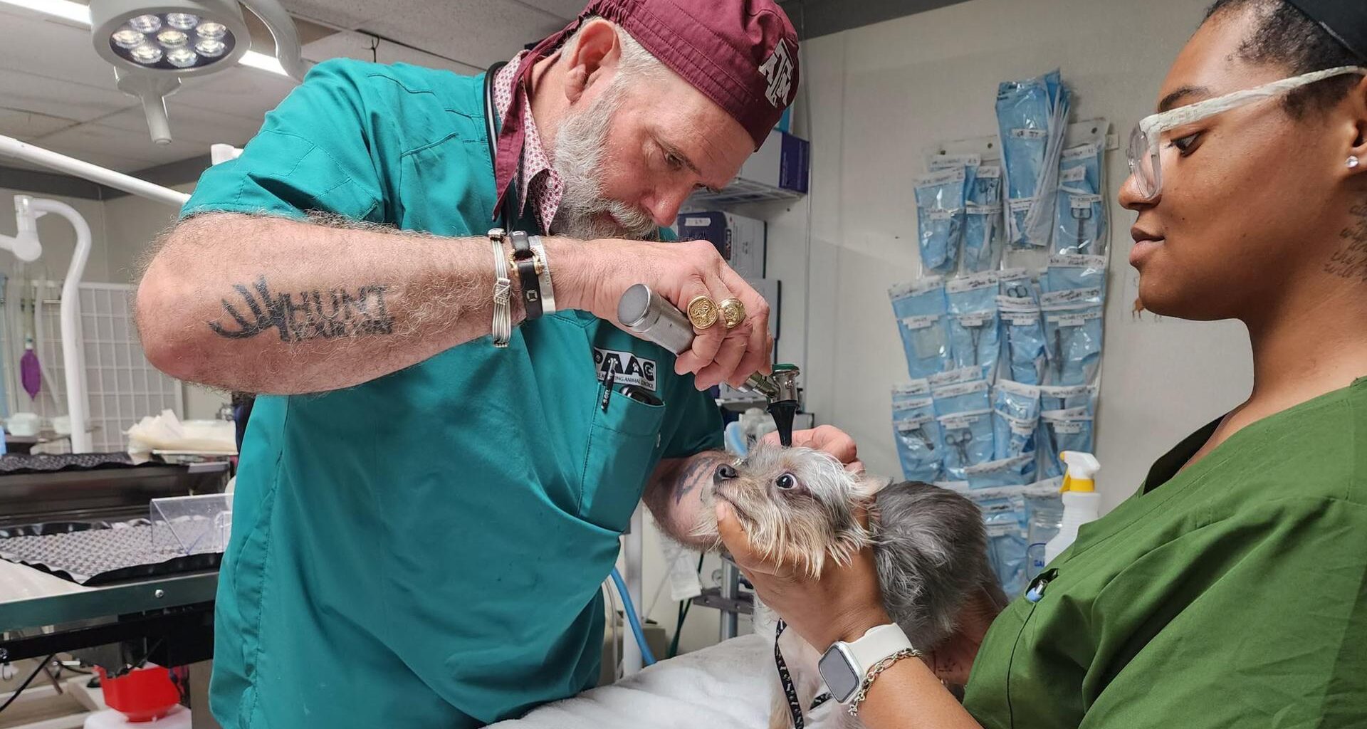 PAAC expands free screwworm prevention effort for South Texas pets