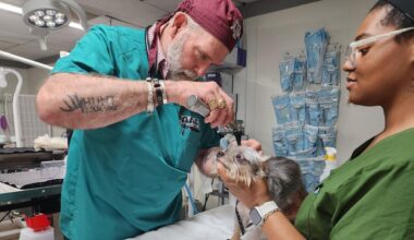 PAAC expands free screwworm prevention effort for South Texas pets