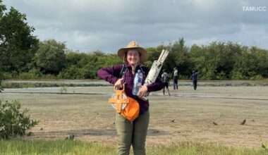 TAMU-CC expeditions explore wildlife and carbon storage in The Gambia’s mangroves