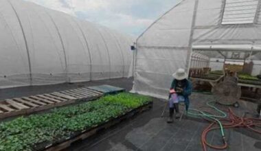 Austin farming org seeks help after losing city funds