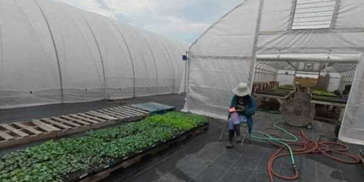 Austin farming org seeks help after losing city funds