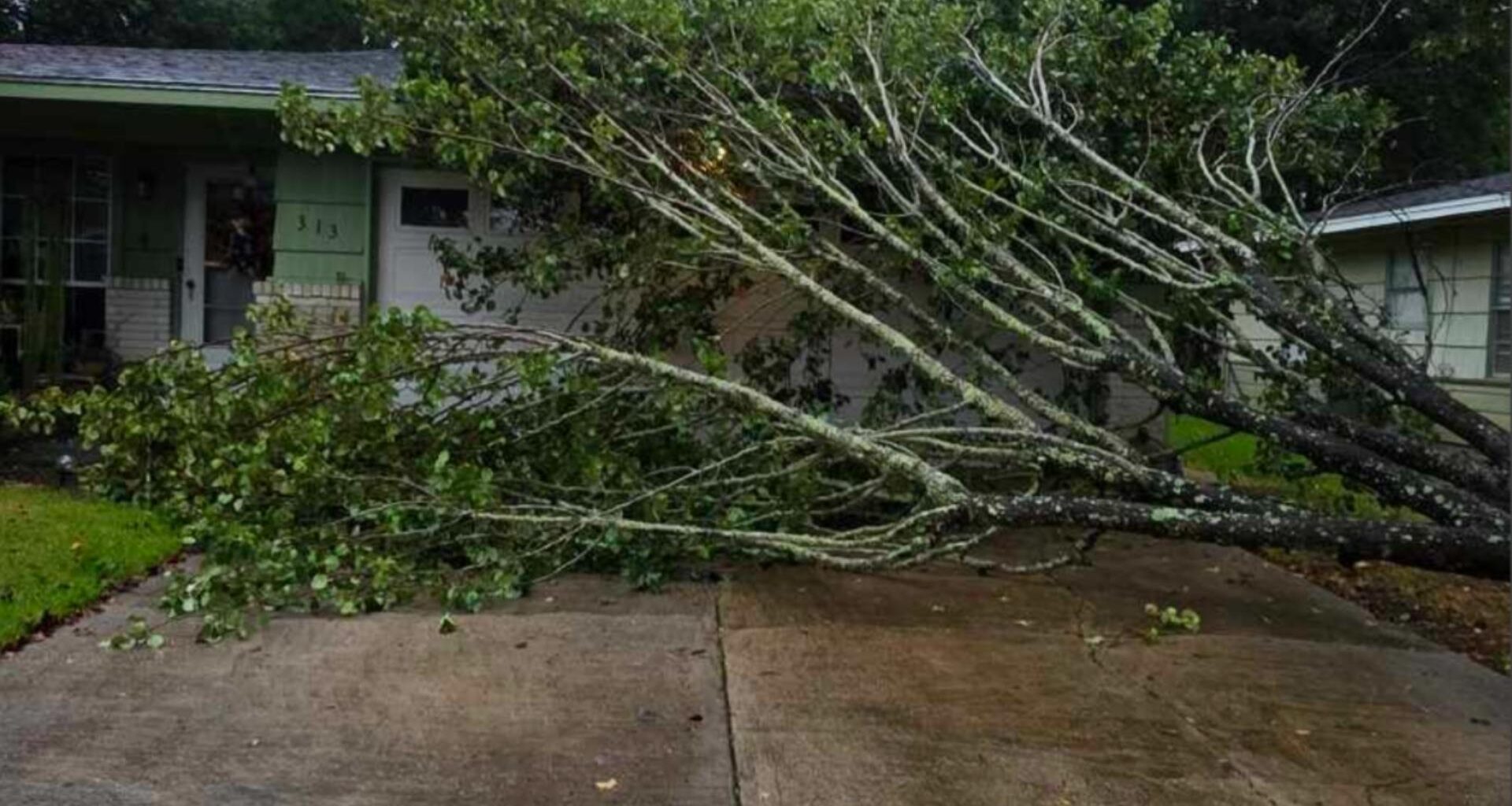 Southeast Texas residents capture storm damage after Tropical Storm Edouard makes landfall