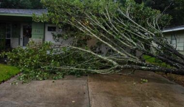 Southeast Texas residents capture storm damage after Tropical Storm Edouard makes landfall