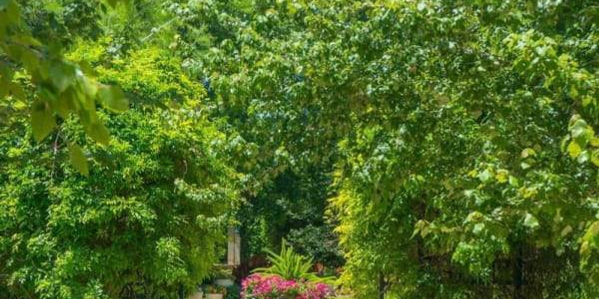 Where Fort Worth lands on new 'best places to retire' list