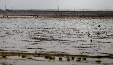Lubbock, West Texas under flood watch as strong storms continue