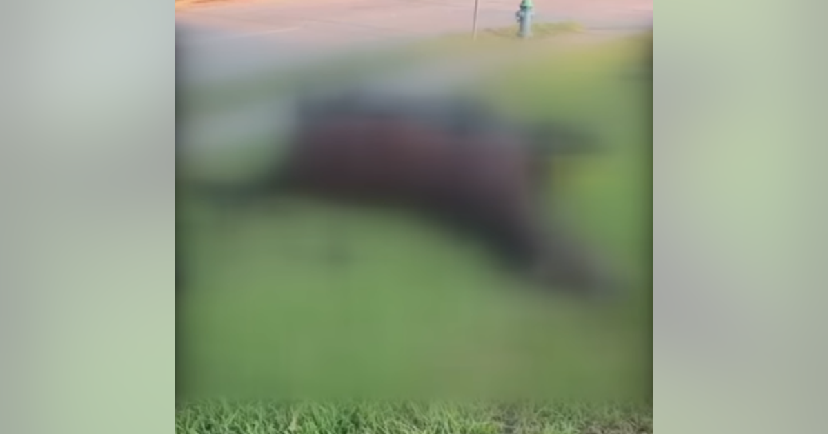 Dead horse decaying in front of Harris Health System facility