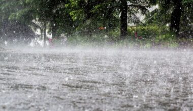 Up to 10 inches of rain to slam Texas as 'torrential' storms spark flood alerts