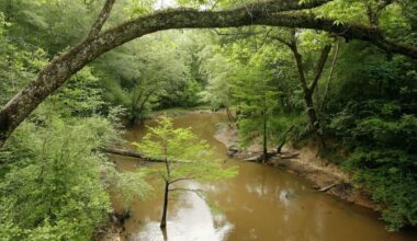East Texas town never tires of talking about legend of stolen Spanish gold