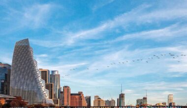 Major Texas city pushes new rules to stop buildings from killing birds