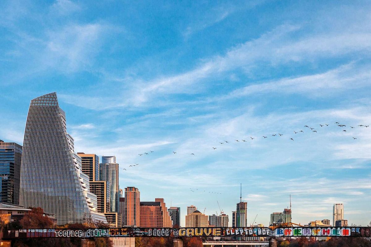 Major Texas city pushes new rules to stop buildings from killing birds