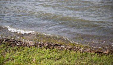 Pause on water releases from Lake Corpus Christi allowed to continue