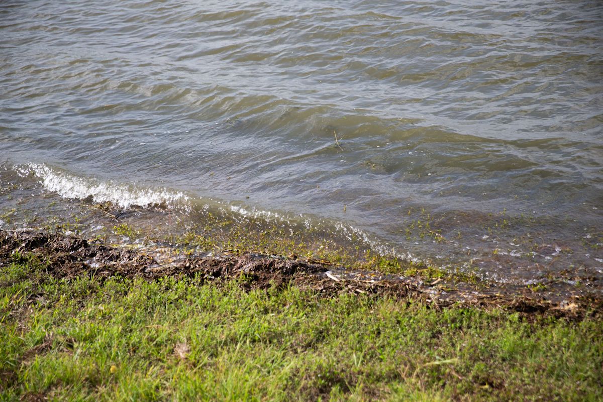 Pause on water releases from Lake Corpus Christi allowed to continue