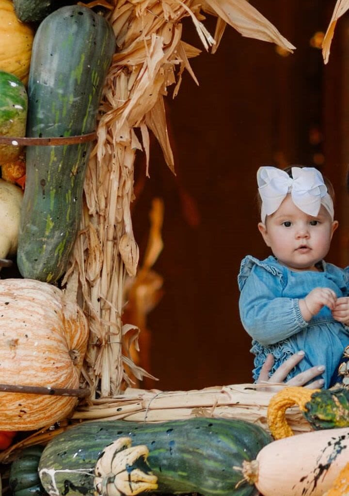 'Harvest Hues' takes over the Dallas Arboretum this fall
