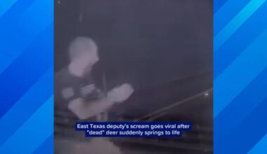 "Ahh! It's Alive!": Texas Deputy Finds Out a "Dead" Deer Is Very Much Alive
