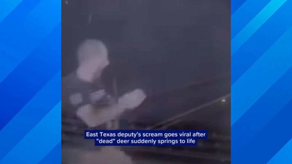 "Ahh! It's Alive!": Texas Deputy Finds Out a "Dead" Deer Is Very Much Alive
