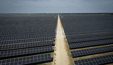 Texas shattered energy demand records this summer. Here's why the grid barely broke a sweat.