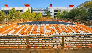 Houston Pumpkin Festival is back at Discovery Green. Here's what's new