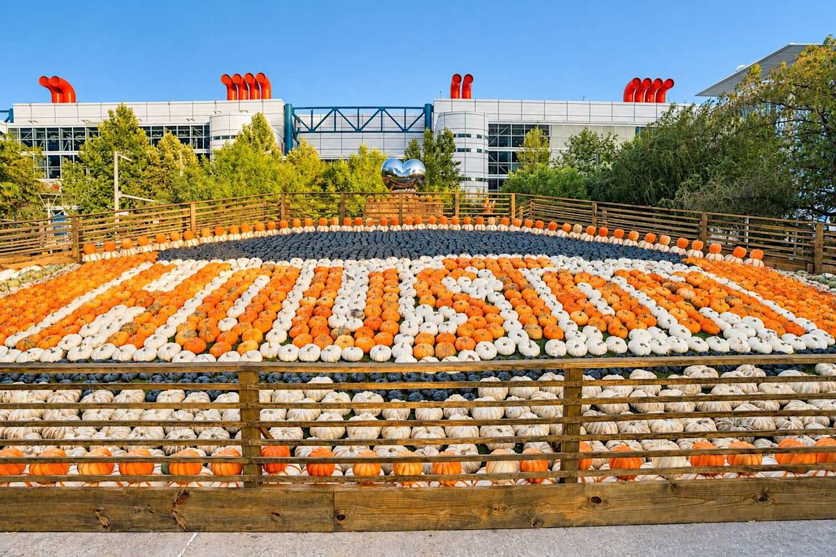 Houston Pumpkin Festival is back at Discovery Green. Here's what's new