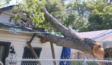'Very hard for us': San Antonio family asks for help after storm-sparked fallen tree leaves home unlivable