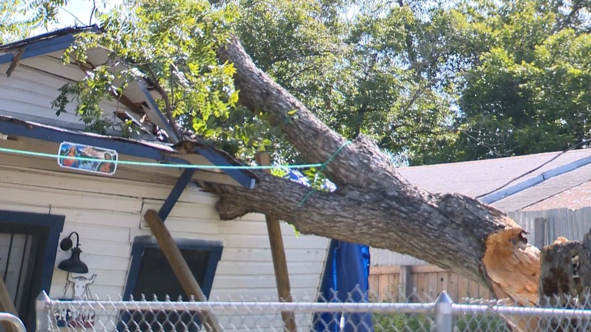 'Very hard for us': San Antonio family asks for help after storm-sparked fallen tree leaves home unlivable