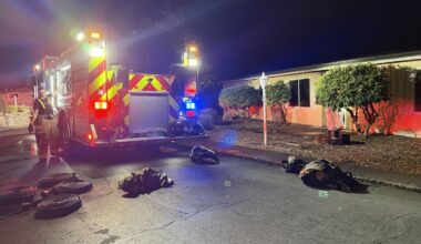 Man dead, 2 dogs rescued in Dallas house fire
