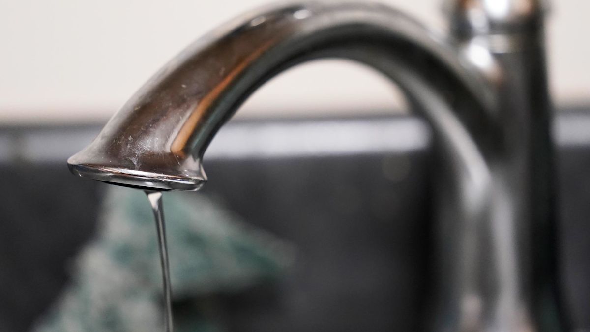 Corpus Christi water provides update on earthy taste and odor in tap water