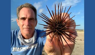 Free beach treasure hunt coming to Corpus Christi with shells, sea glass and coastal surprises