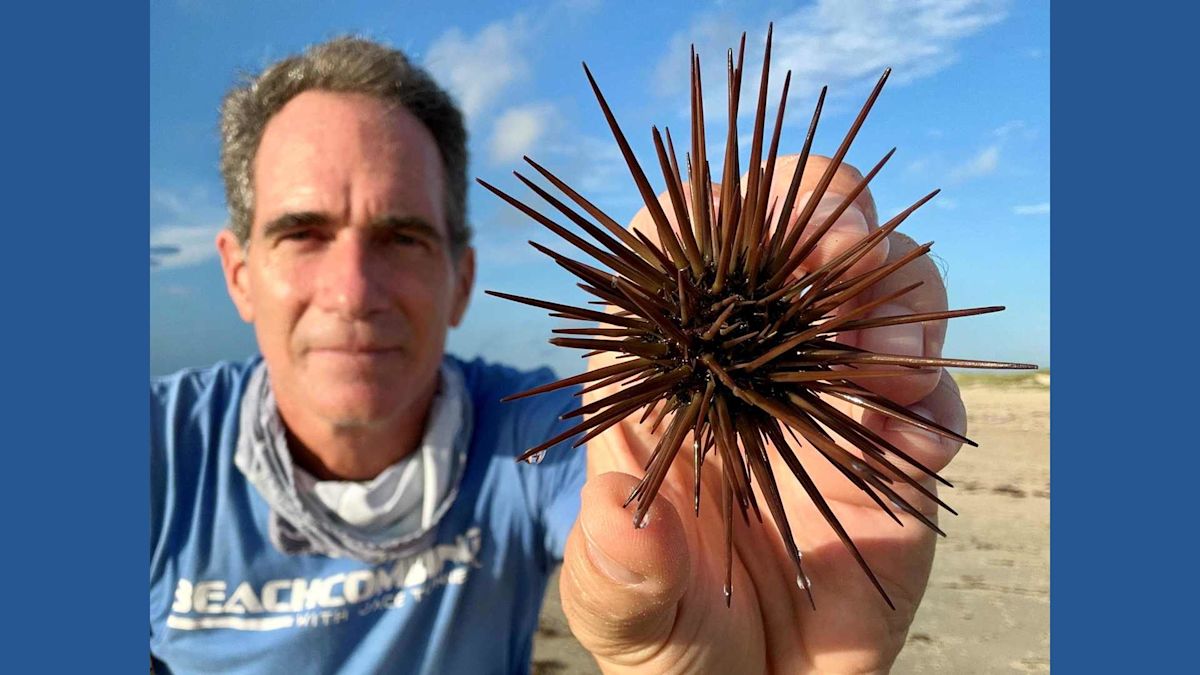 Free beach treasure hunt coming to Corpus Christi with shells, sea glass and coastal surprises
