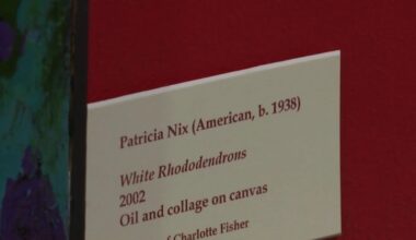 Patricia Nix documentary to premiere at Lubbock film festival