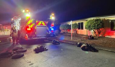 Man killed, two dogs rescued from Dallas house fire